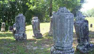 SAMSUNG DIGIMAX A503