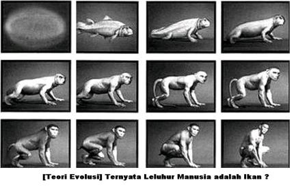 evolusi1