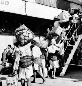 13415337641301349244